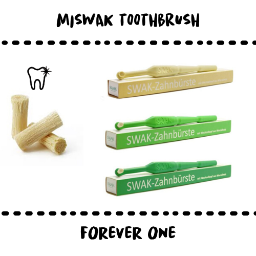 TOOTHBRUSH - MISWAK #REUSE - Damn Plastic
