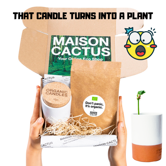 CANDLE THAT TURNS INTO A PLANT